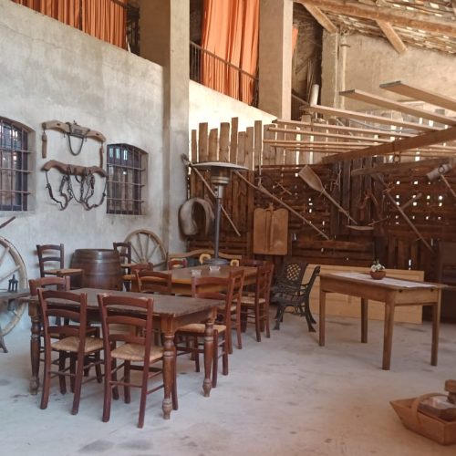 IMG-20241216-WA0001-1