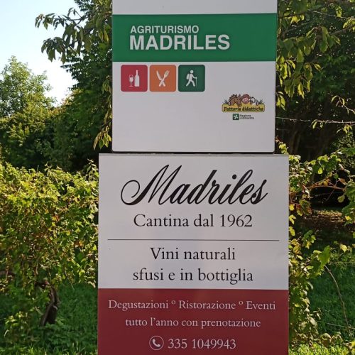 IMG-20241216-WA0003-1