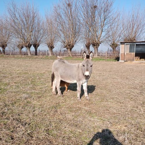 IMG_20220130_115205_483