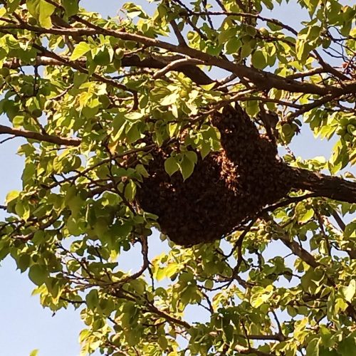 IMG_20220418_151834_326