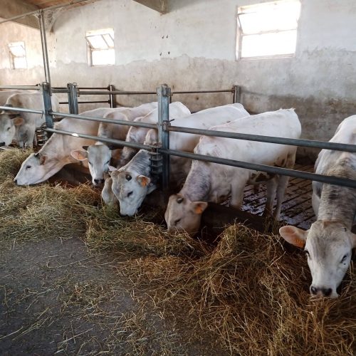 IMG_20220418_163742_569