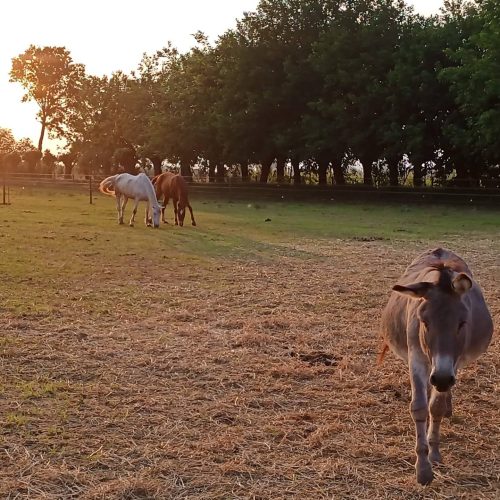 IMG_20220515_195626_554