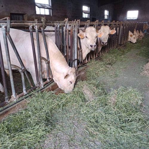 IMG_20220825_065000_510