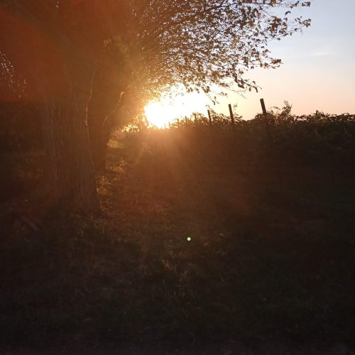 IMG_20220825_194457_760