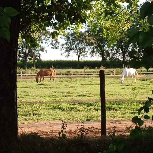 IMG_20220901_182508_346