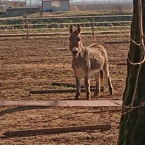 IMG_20230210_143548_117