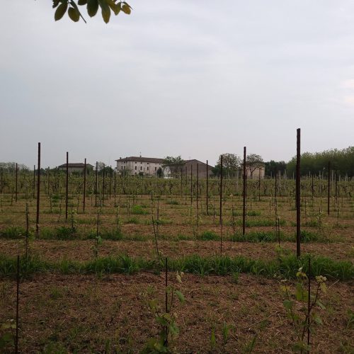 IMG_20230429_091034_408