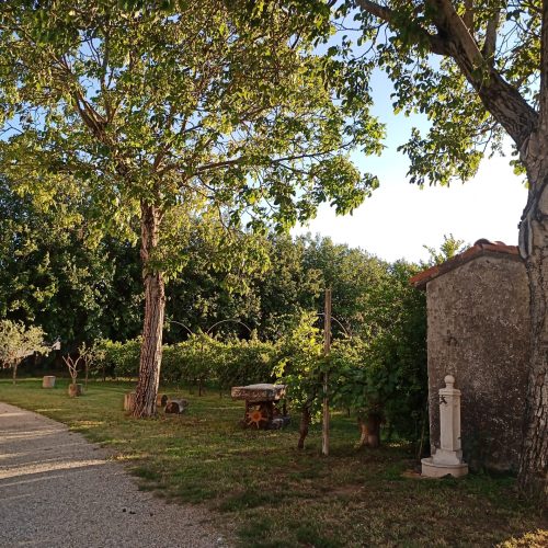 viale