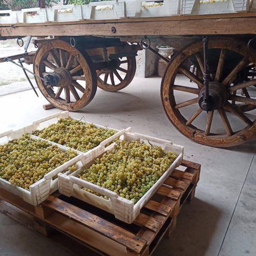 IMG_20230826_165822_396