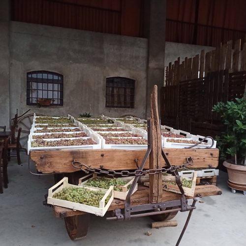 IMG_20230827_195329_047