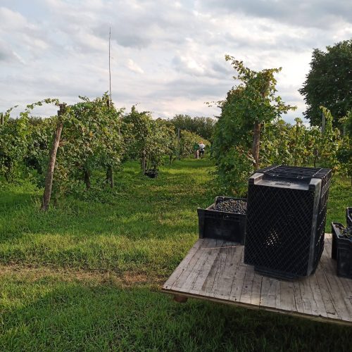 IMG_20230830_173055_233