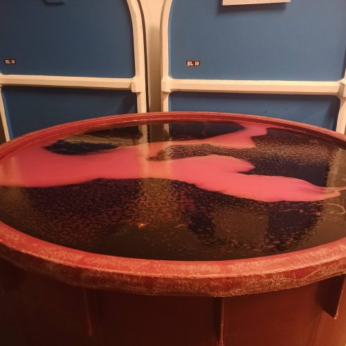 IMG_20231003_213746_344