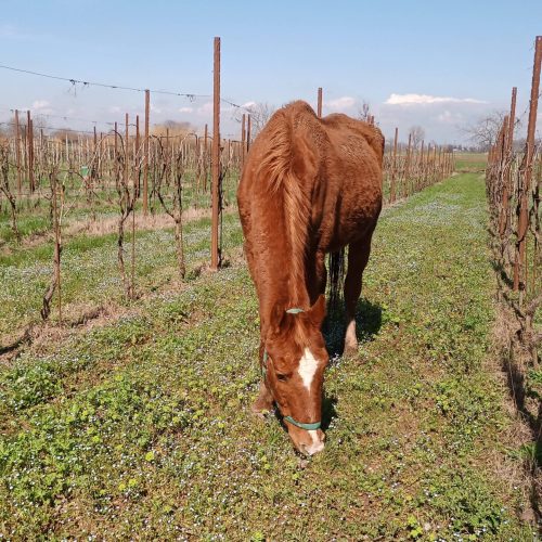 IMG_20240311_123829_469