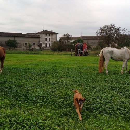 IMG_20240918_084935_159