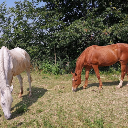 Screenshot_20230601-150956246