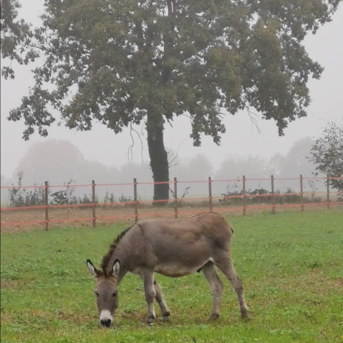 Screenshot_20230617-185722616