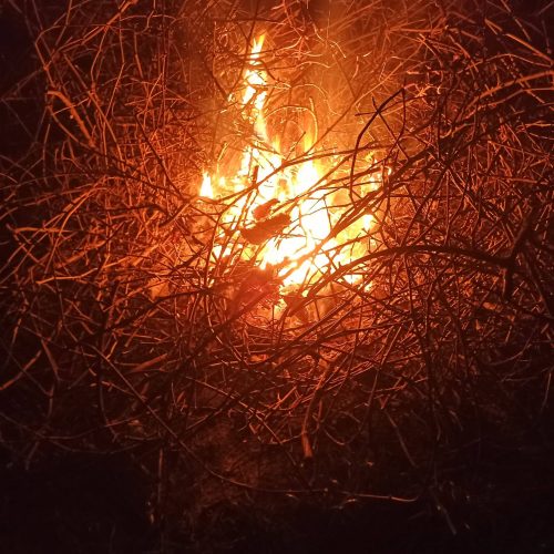 falò fine taglio vigne gennaio festa inizio nuovo anno