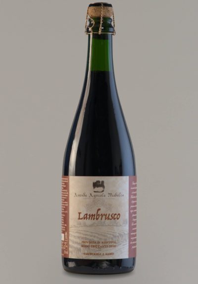 vino Lambrusco