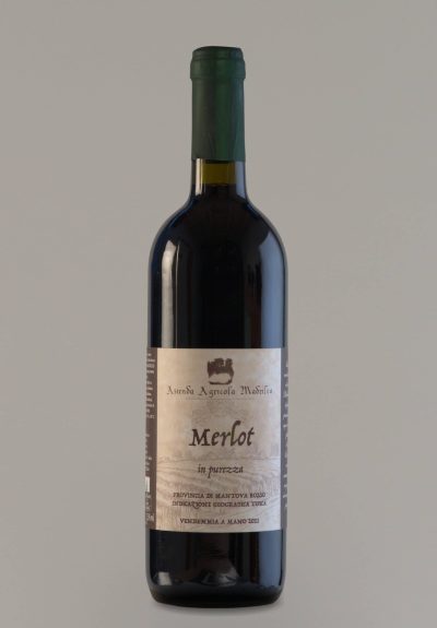 vino Merlot