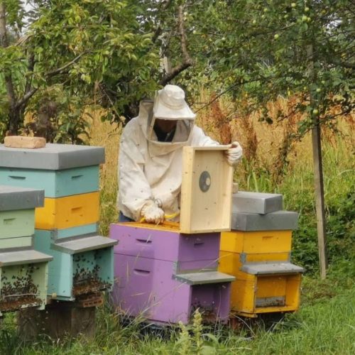 original_f220aa94-4e8a-4169-85b4-55d394a98281_S(1)