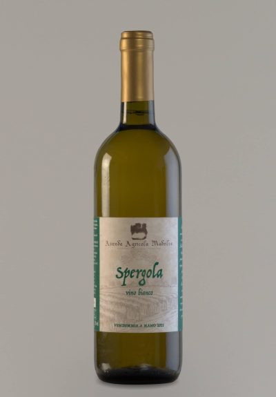 vino Spergola